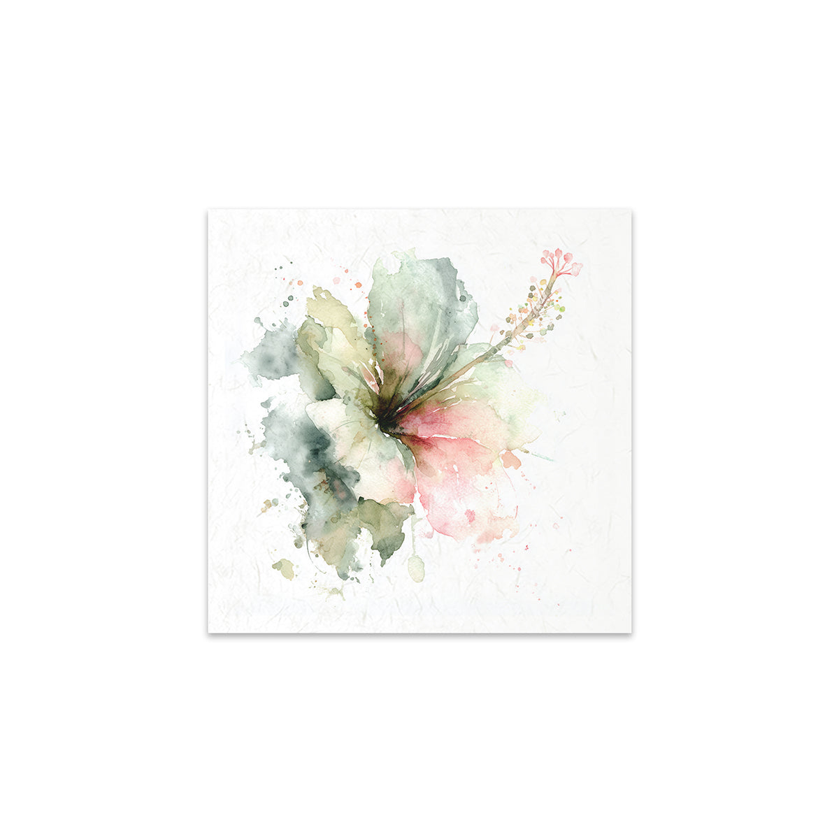 A flower on a white background
