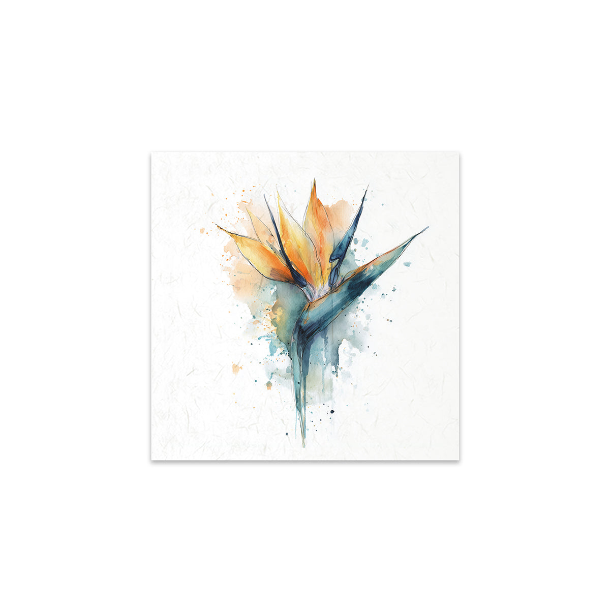 A flower on a white background