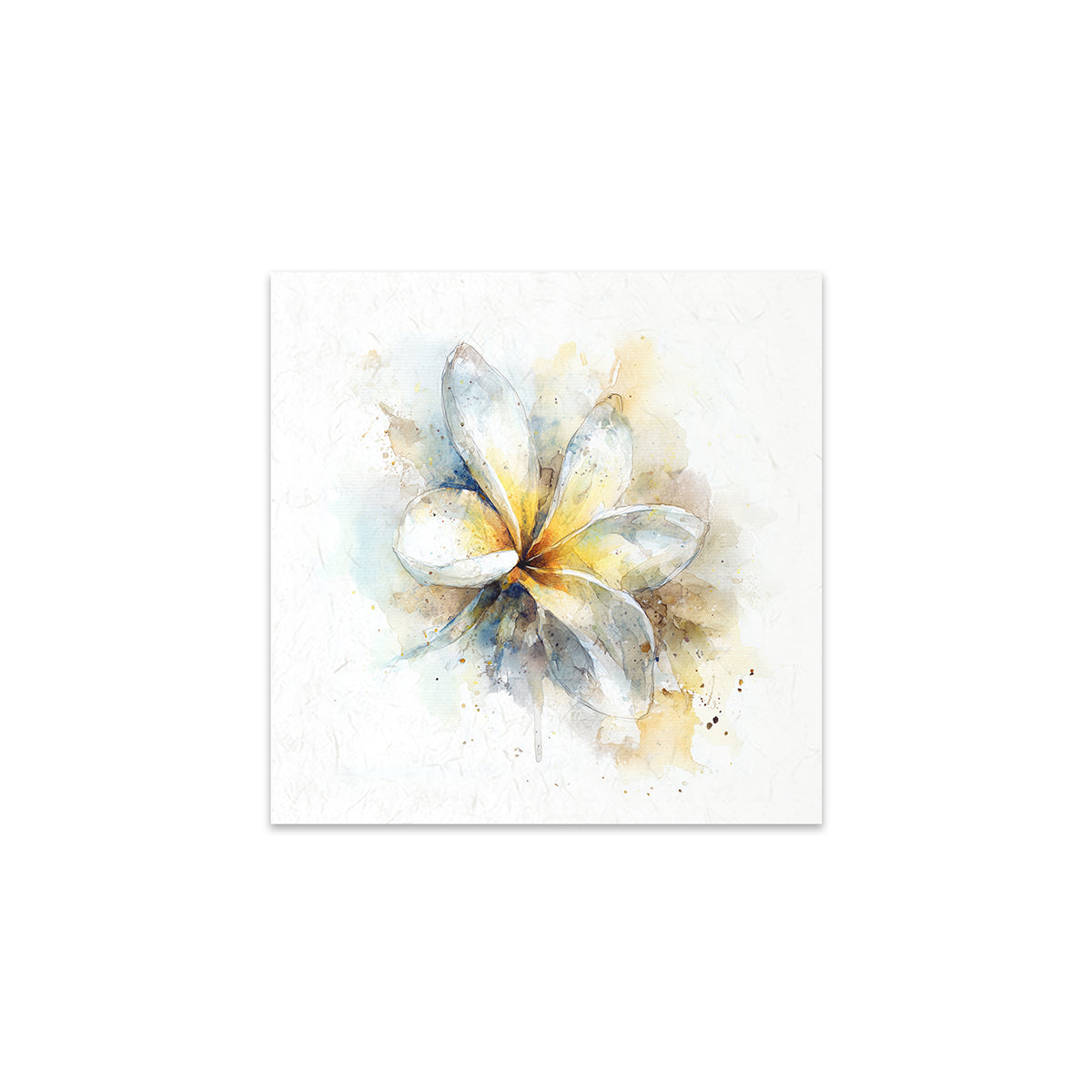 A flower on a white background