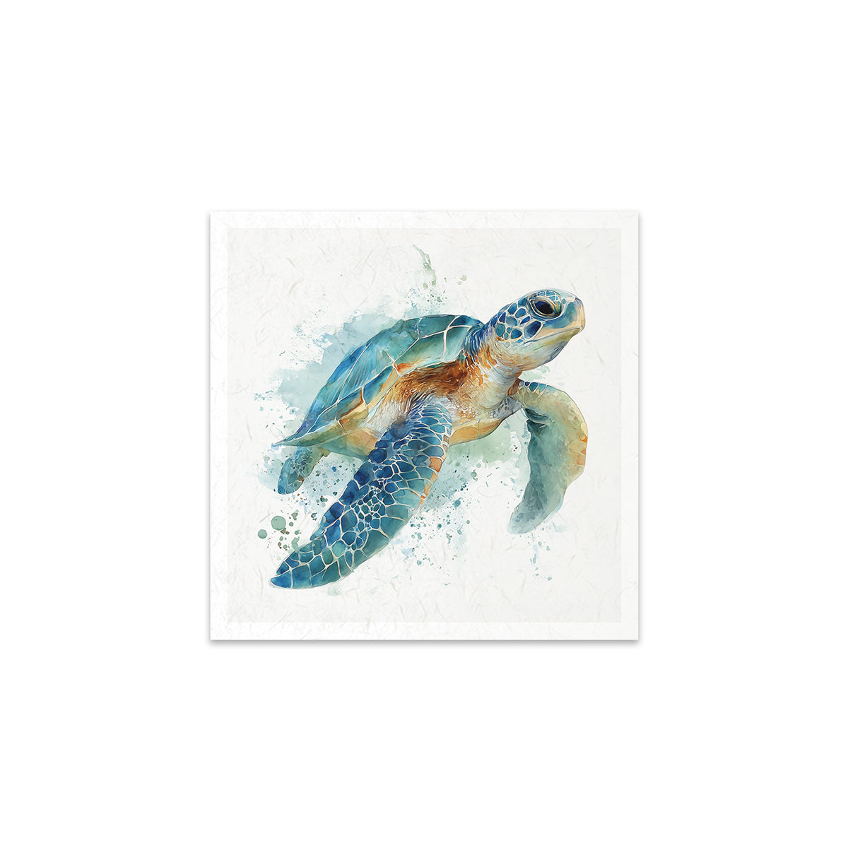 A turtle on a white background