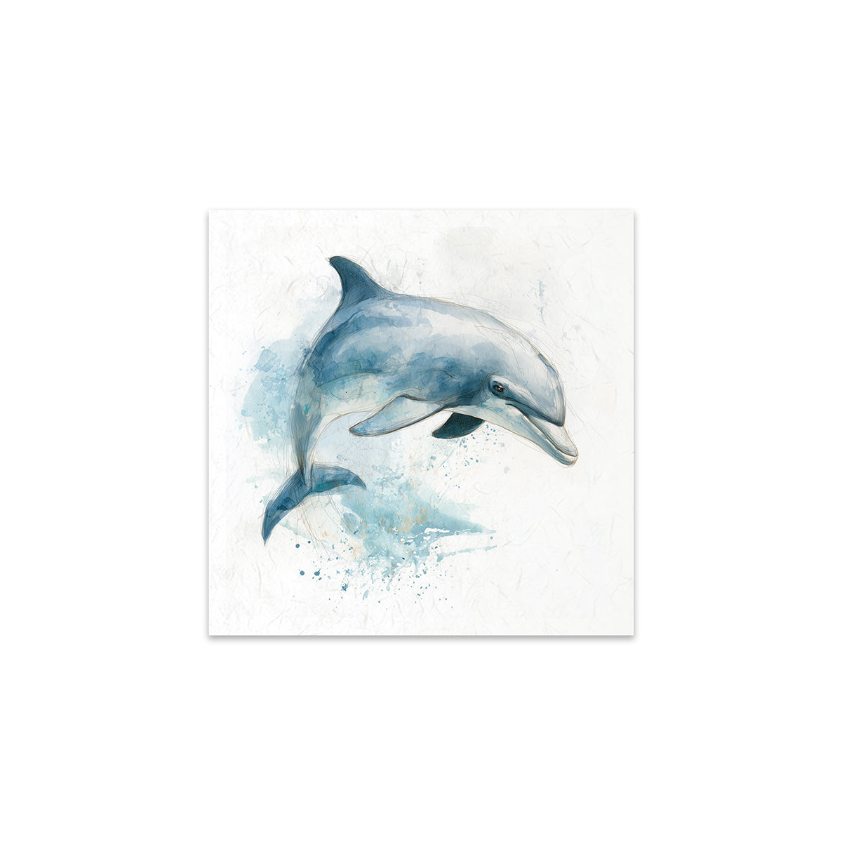 A dolphin on a white background