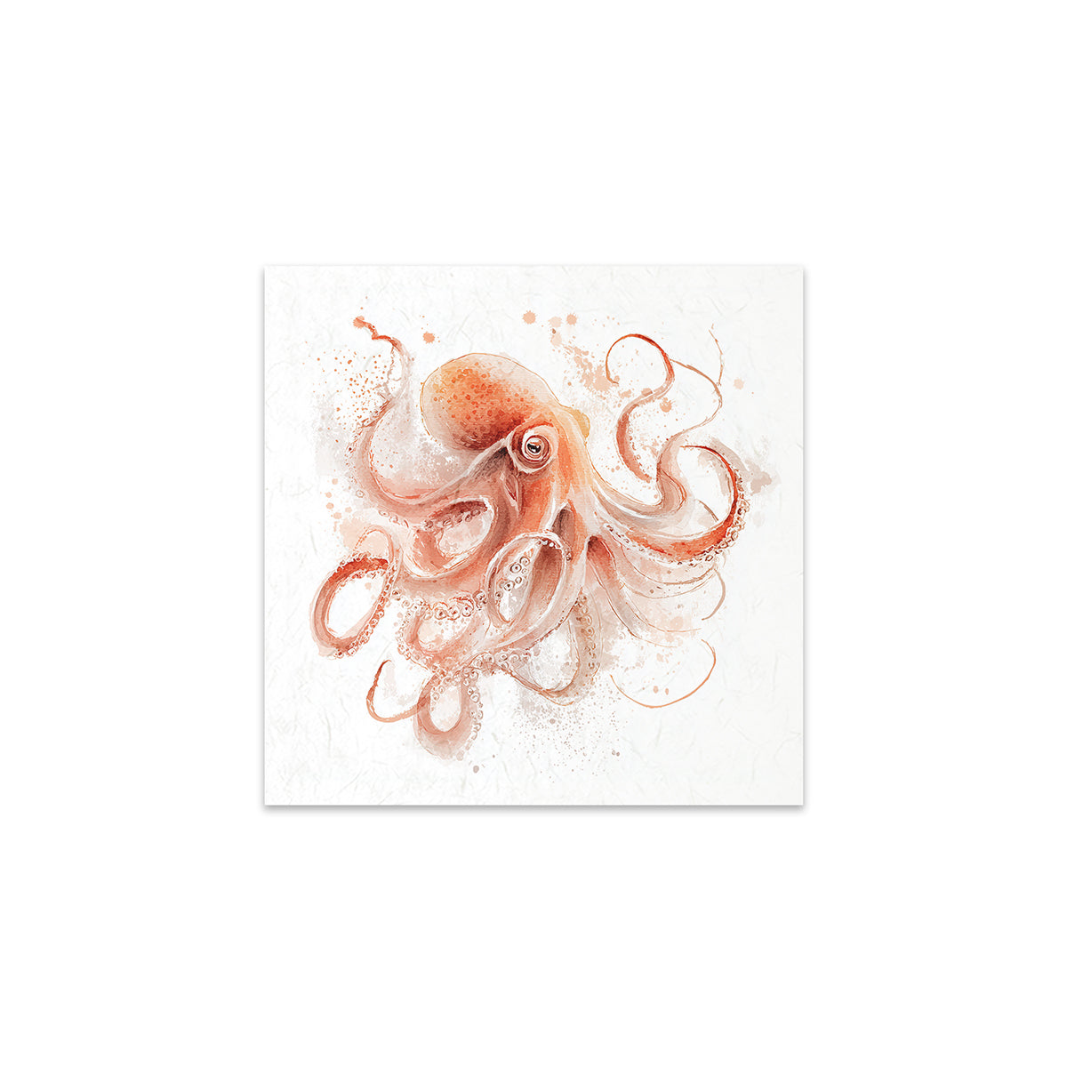 An octopus in soft pink and orange tones on a white background
