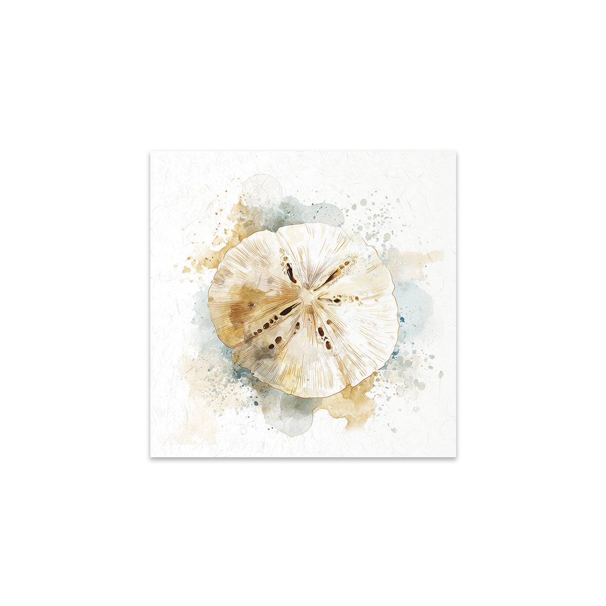 A sand dollar with watercolour textures on a white background
