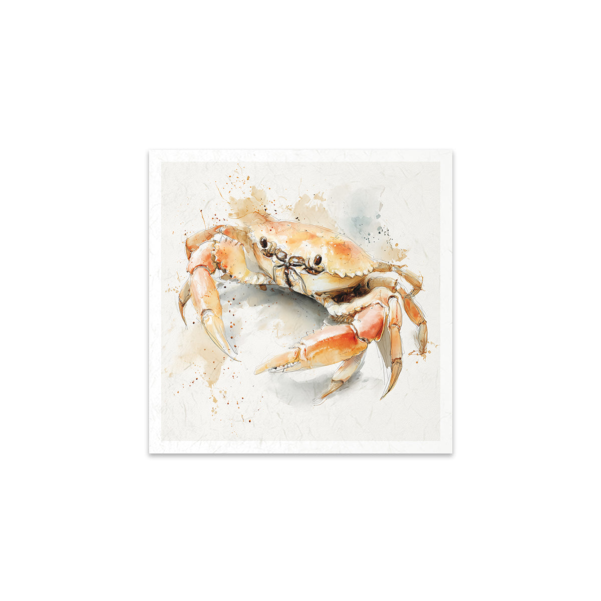 A crab on a white background