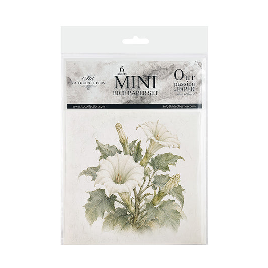 A packaged set of six mini rice papers from Ash Collection, featuring a botanical illustration of white flowers and green leaves on the front of the clear plastic sleeve.