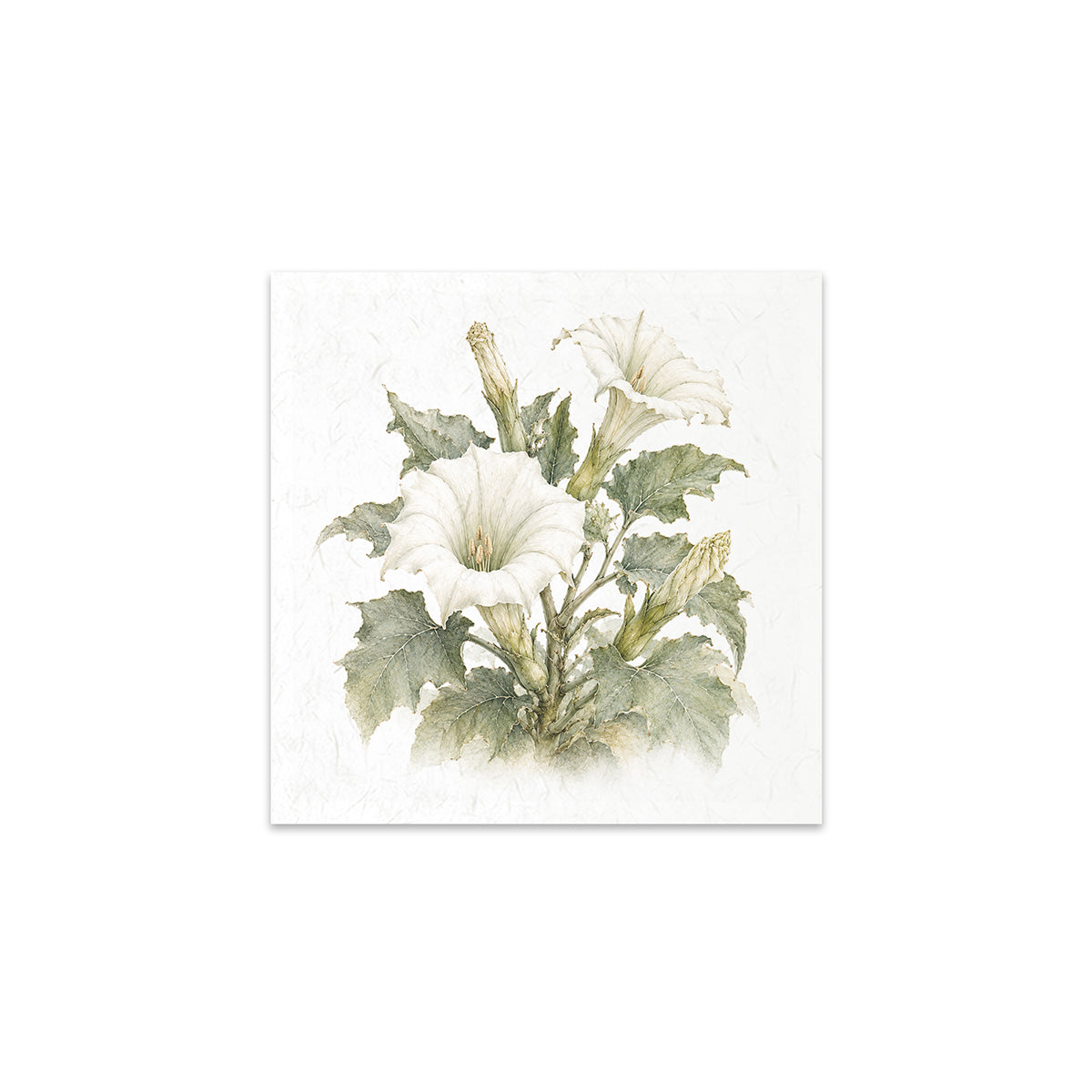 A square art print featuring a watercolor-style botanical illustration of white flowers with green leaves on a textured off-white background.