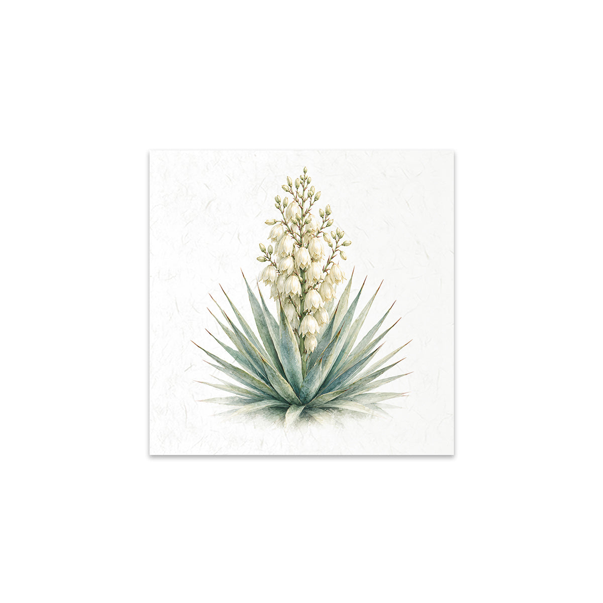 A square botanical art print featuring a watercolor-style yucca plant with pale green-blue leaves and cream flower spikes on a textured off-white background,.