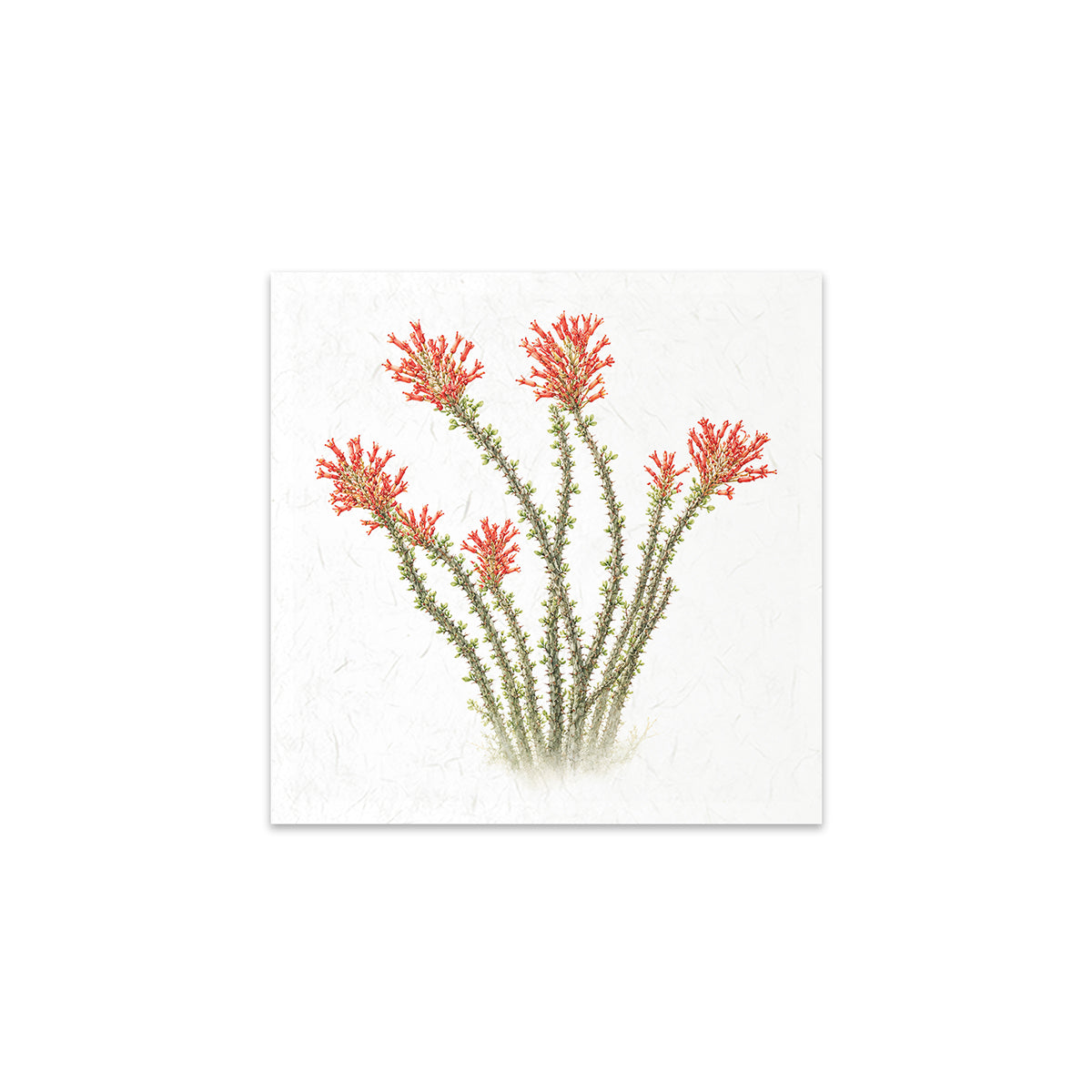 A square canvas art print featuring a botanical illustration of red-orange flowers on green stems against a textured off-white background.