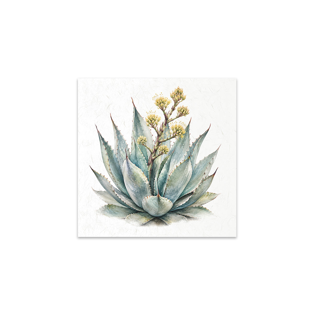 A square art print featuring a watercolor-style illustration of an agave succulent with pale blue-green leaves and small yellow flowers on a textured off-white background.