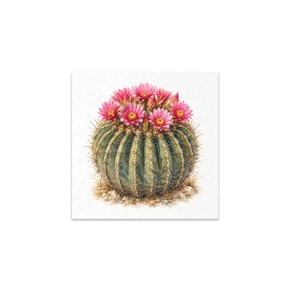 A square art print featuring a painted barrel cactus with bright pink flowers, centered on a clean white background.