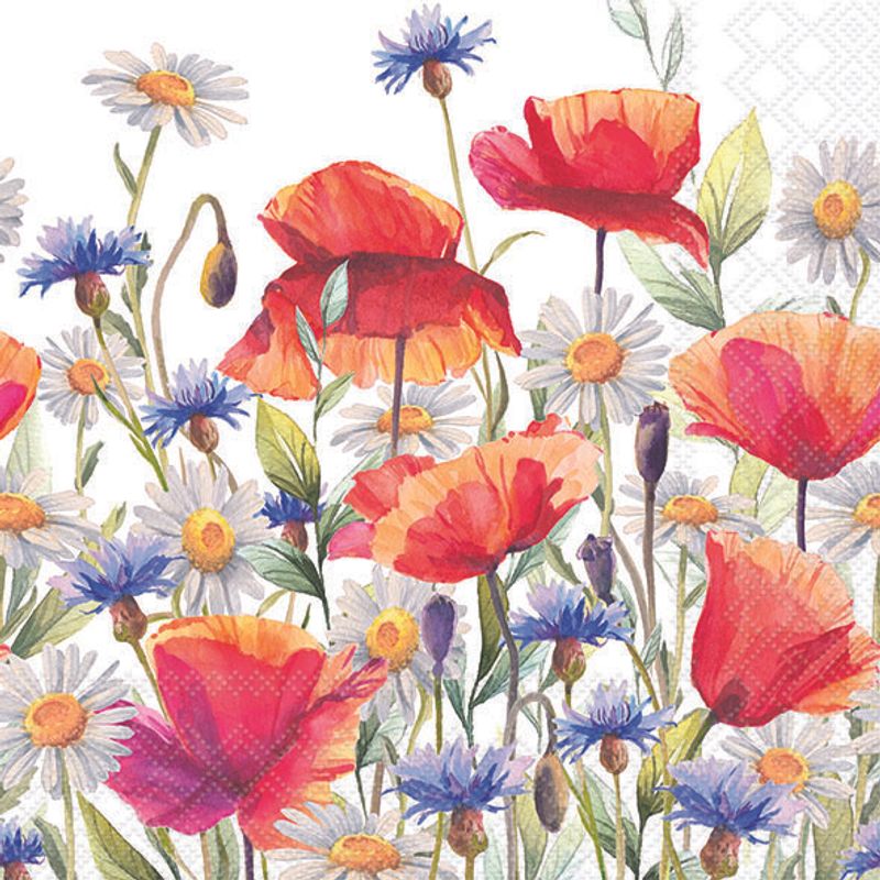 Poppies and Cornflowers - Napkin