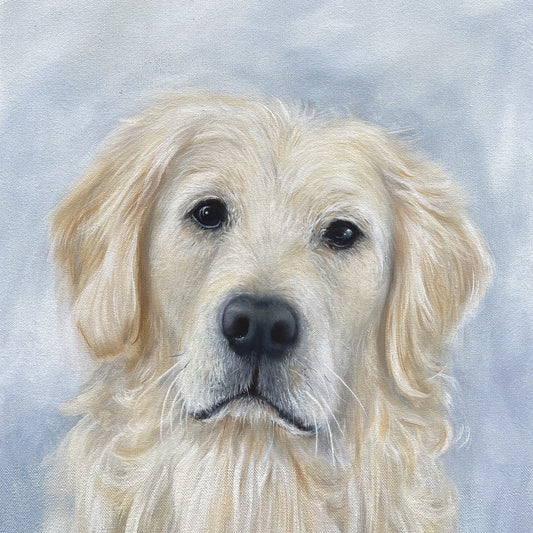 A golden retriever's face on a textured blue background