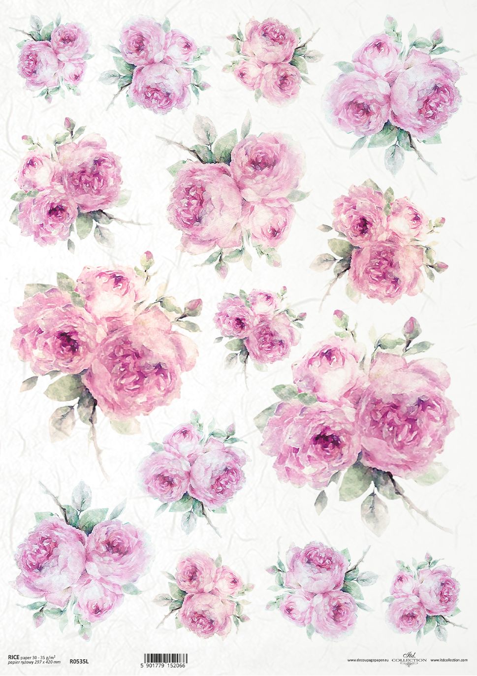 Pink roses on a white background