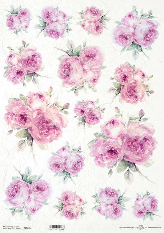 Pink roses on a white background