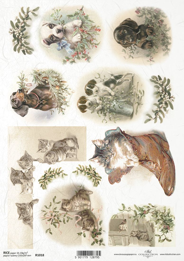 Collage of vintage-style illustrations featuring animals and nature elements on a white background.