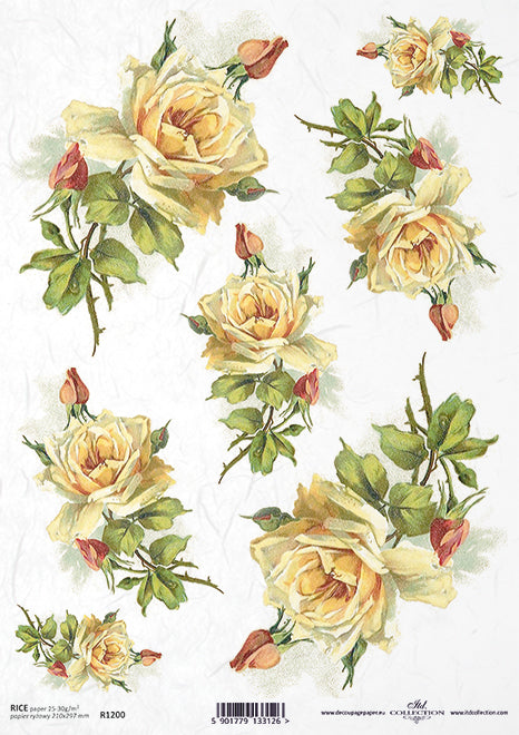 R1200 - Rice paper A4