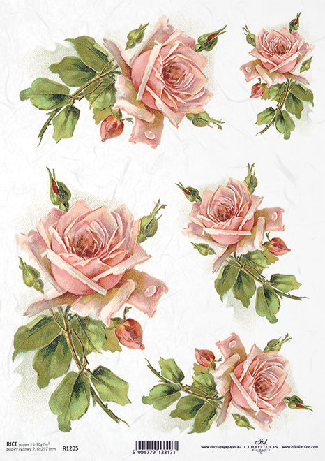 R1205 - Rice paper A4