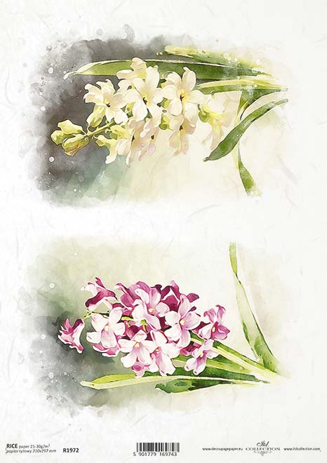R1972 - Rice paper A4