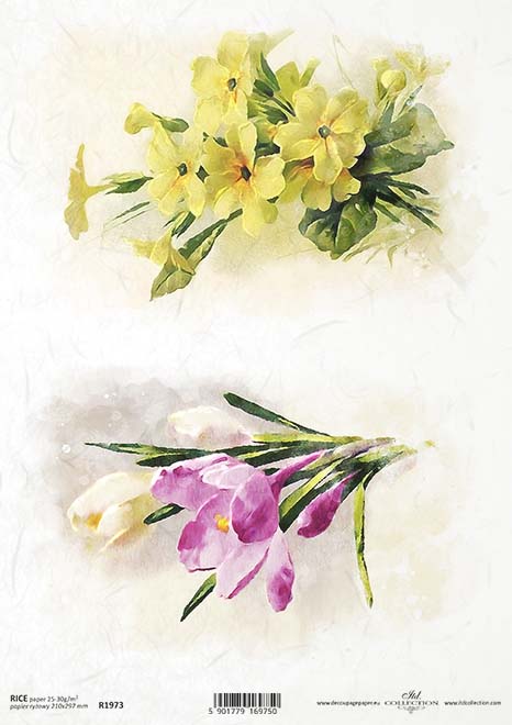 R1973 - Rice paper A4