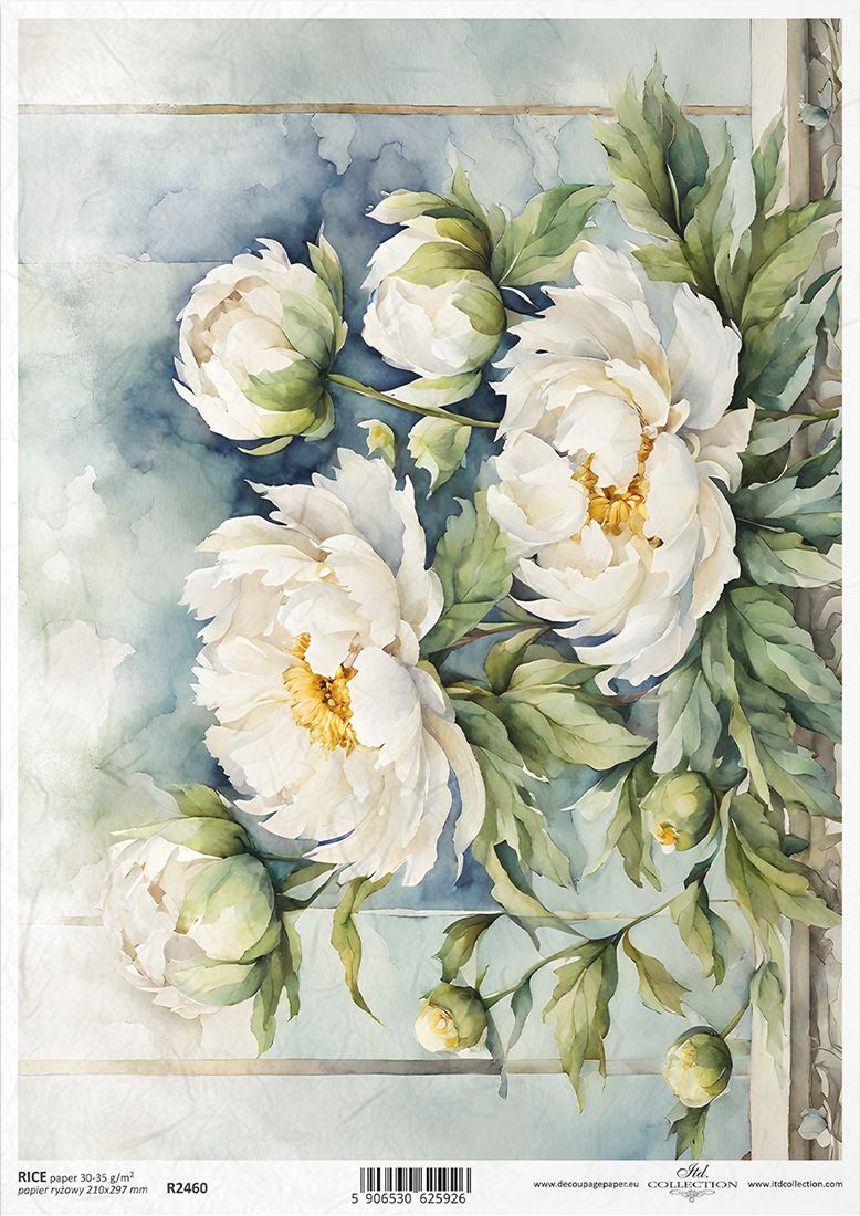 Floral design with white flowers and green leaves on a light blue background