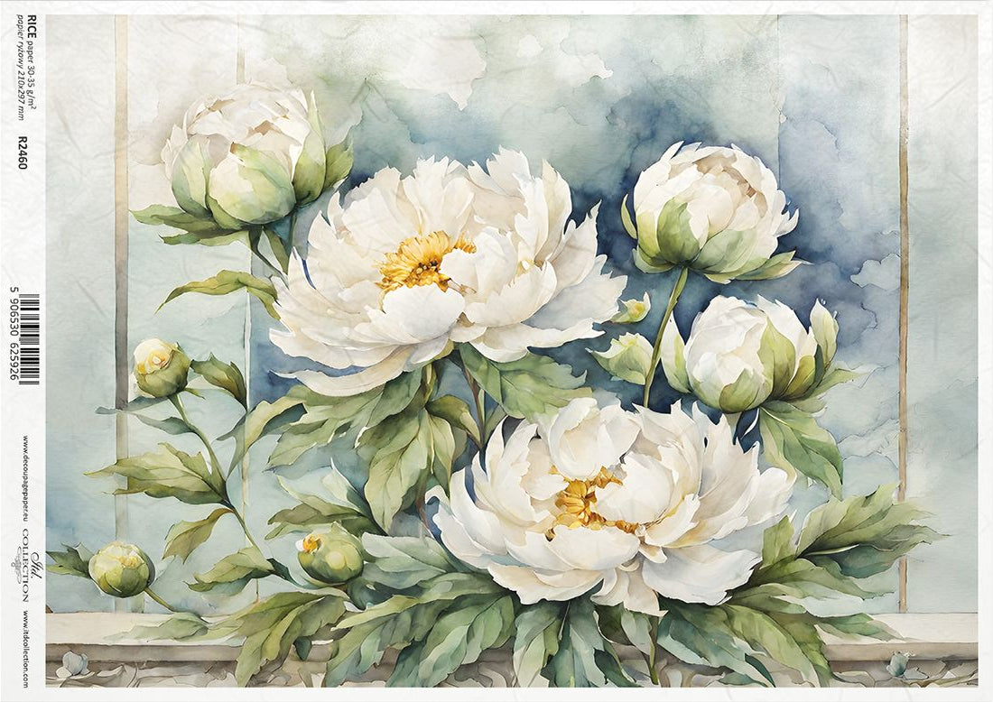 Floral design with white flowers and green leaves on a light blue background