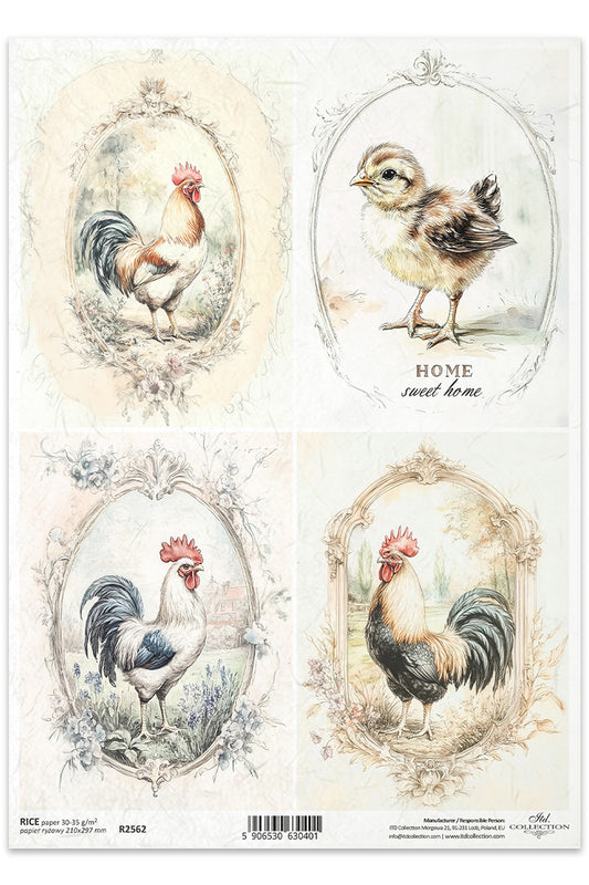R2562 - Country Rooster Rice Paper A4