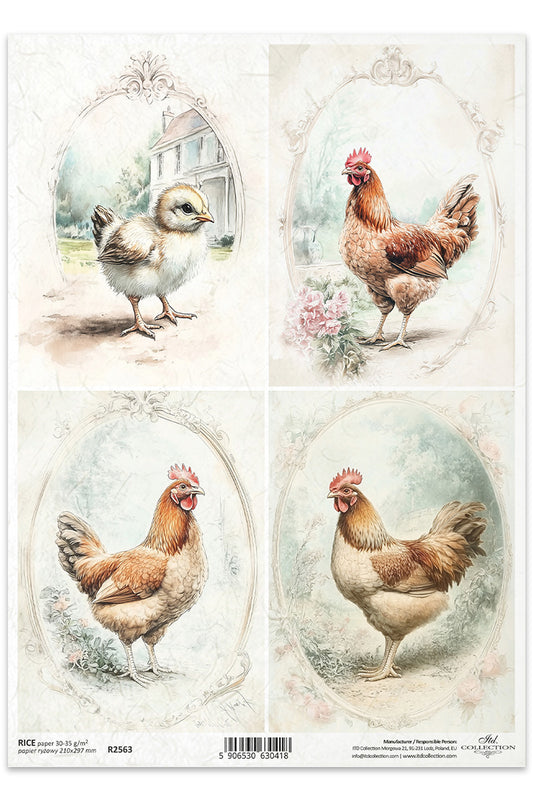 R2563 - Rustic Farm Chickens Rice Paper A4