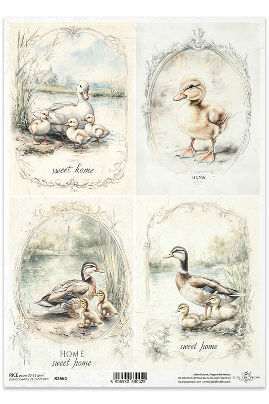 R2564 - Sweet Home Ducks Rice Paper A4