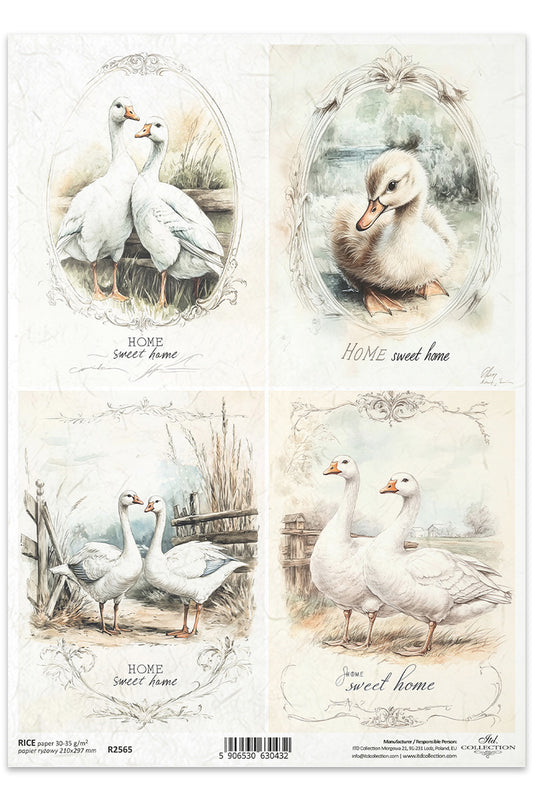R2565 - Sweet Home Geese Rice Paper A4