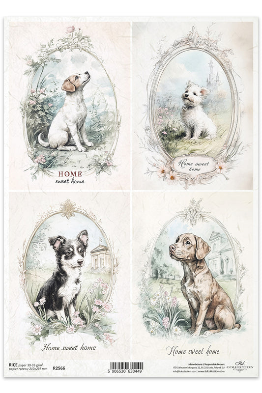 R2566 - Sweet Home Puppies Rice Paper A4