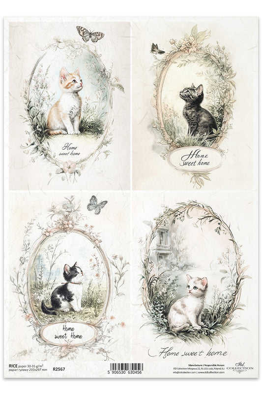 R2567 -  Sweet Home Kittens Rice Paper A4