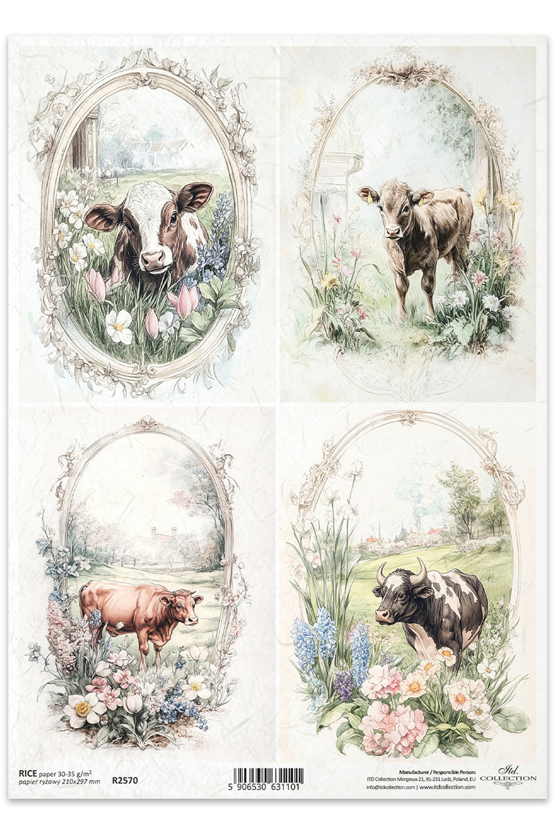 R2570 - Countryside Cows Rice Paper A4