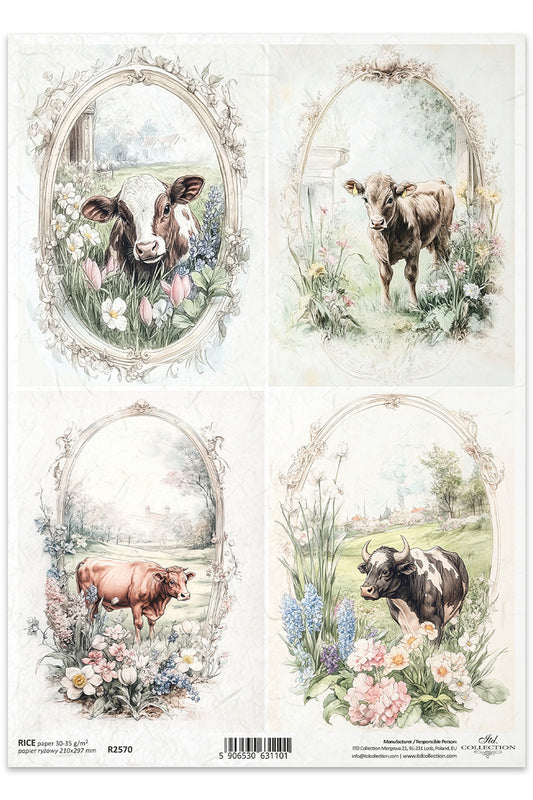 R2570 - Countryside Cows Rice Paper A4