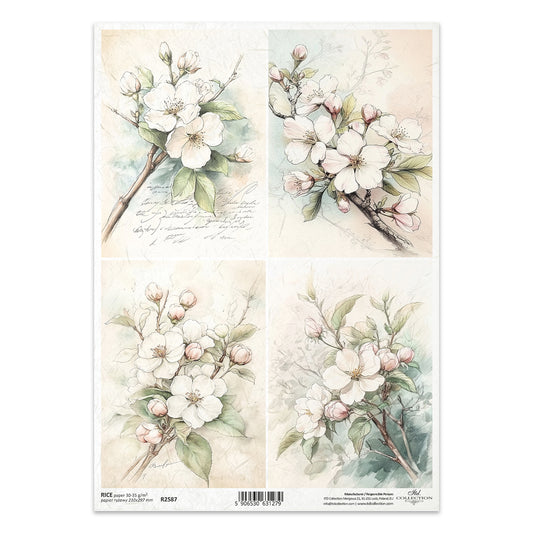 R2587 - Vintage Blossom Branches Rice Paper A4