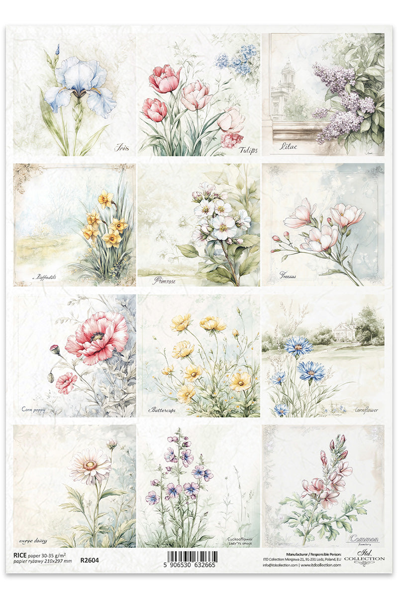 R2604 - Timeless Summer Flowers Rice Paper A4
