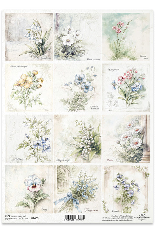 R2605 - Early Bloom Flowers Rice Paper A4