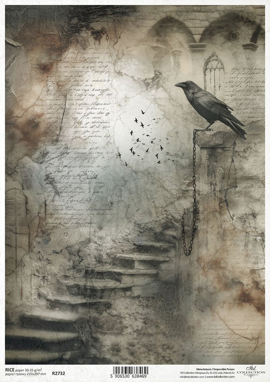 Gothic-style illustration with a crow on a wall with text and stairs
