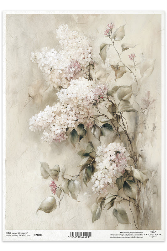 Floral design with white flowers on a textured beige background