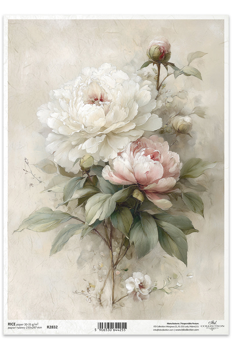 Floral design with white and pink peonies on a beige background