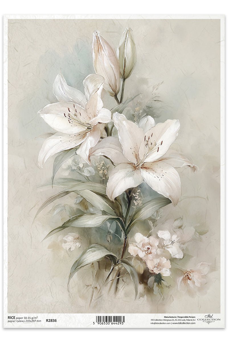 Floral design with white and white flowers on a beige background