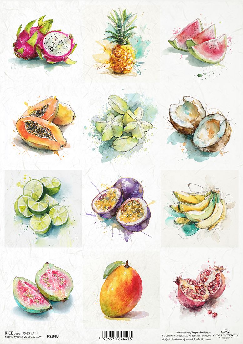 Illustrations of various fruits on a white background