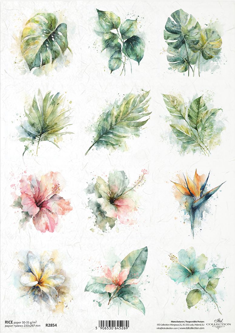 Collection of watercolor-style tropical leaves and flowers on a white background