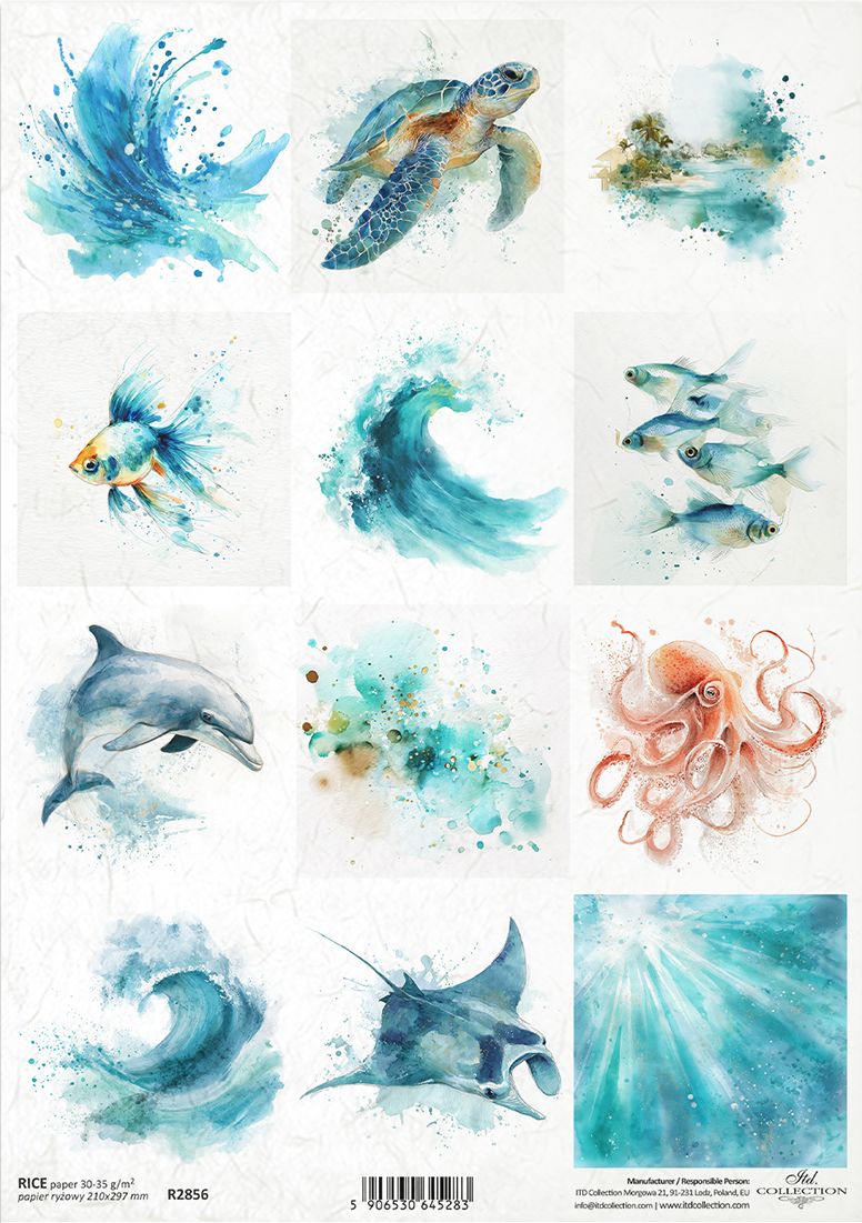 Set of ocean-themed illustrations including fish, turtles, dolphins, and an octopus on a white background.