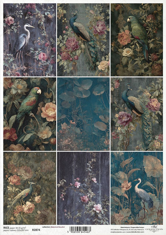 A sheet of decorative paper featuring a vintage-style nature illustrations, including peacocks, parrots, a heron, and floral backgrounds in muted blue, green, pink, and brown tones. 