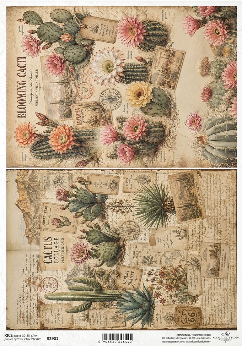 Vintage-style cactus collage paper sheet with illustrated cacti, flowers, postage stamps, and aged paper textures. The design includes multiple cactus species, pink and yellow blooms, and collage elements on an aged beige background.
