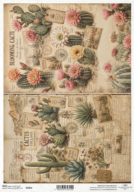 Vintage-style cactus collage paper sheet with illustrated cacti, flowers, postage stamps, and aged paper textures. The design includes multiple cactus species, pink and yellow blooms, and collage elements on an aged beige background.