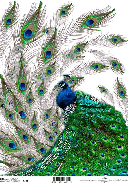 R0323 - Peacock Beauty Rice Paper A4