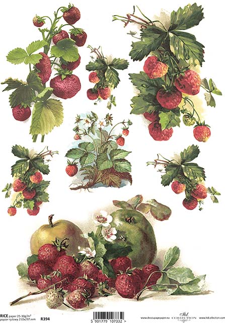 R0394 - Fresh Strawberries Rice Paper A4
