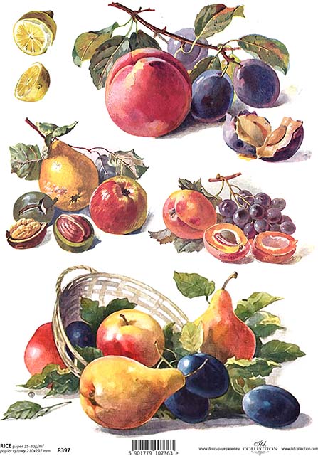 R0397 - Fresh Fruit Rice Paper A4