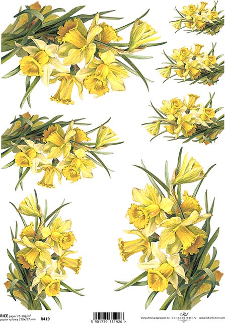R0419 - Rice paper A4
